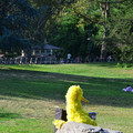 DSC_7419.jpg